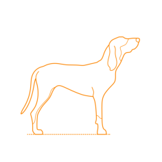 Animals Dogs Black Tan Coonhound Outline Icon Svg Set, Free Vectors File